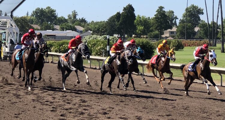 Cal expo horse racing schedule 2022